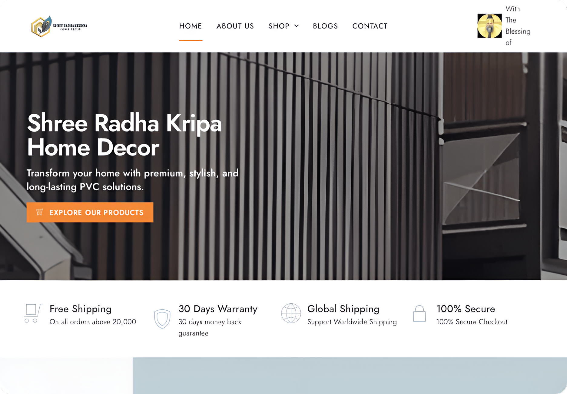 Olivedrab Spoonbill – Custom Website Development by Pristine Orbit